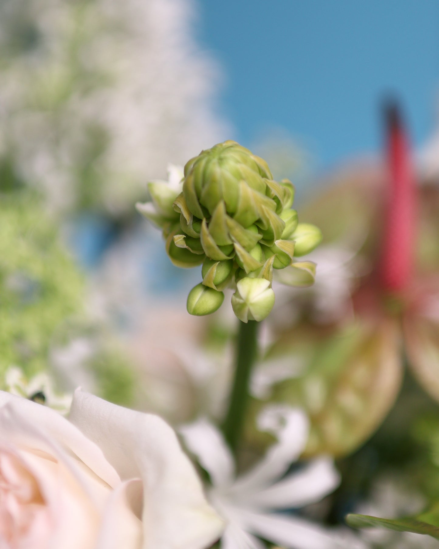 Bouquet "Green Pouder"