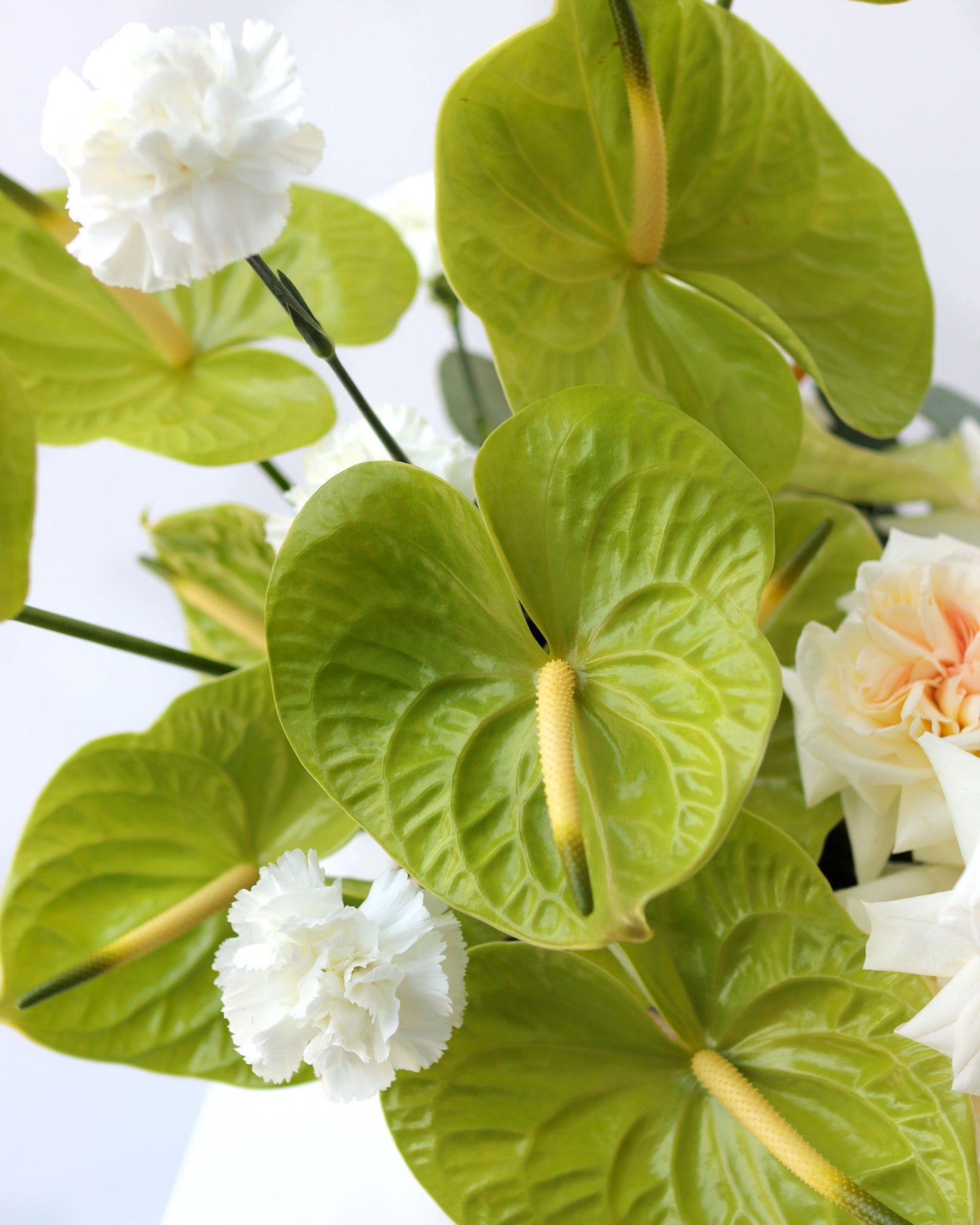 "Green Bloom"