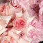 Bouquet "Loving eyes"