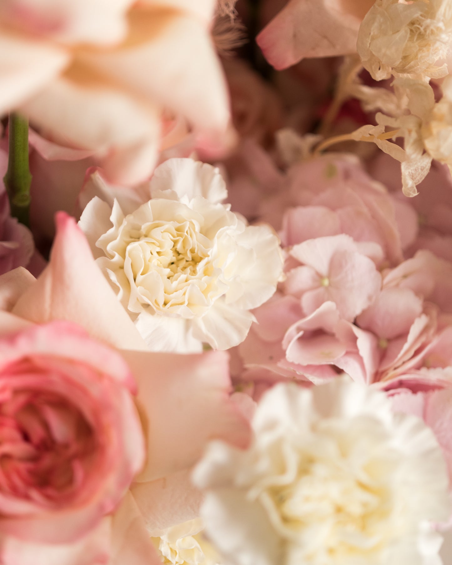 Flower Box "White cherry"