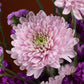 Flower Arrangement "Follow pink"