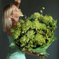 Bouquet "Green power"