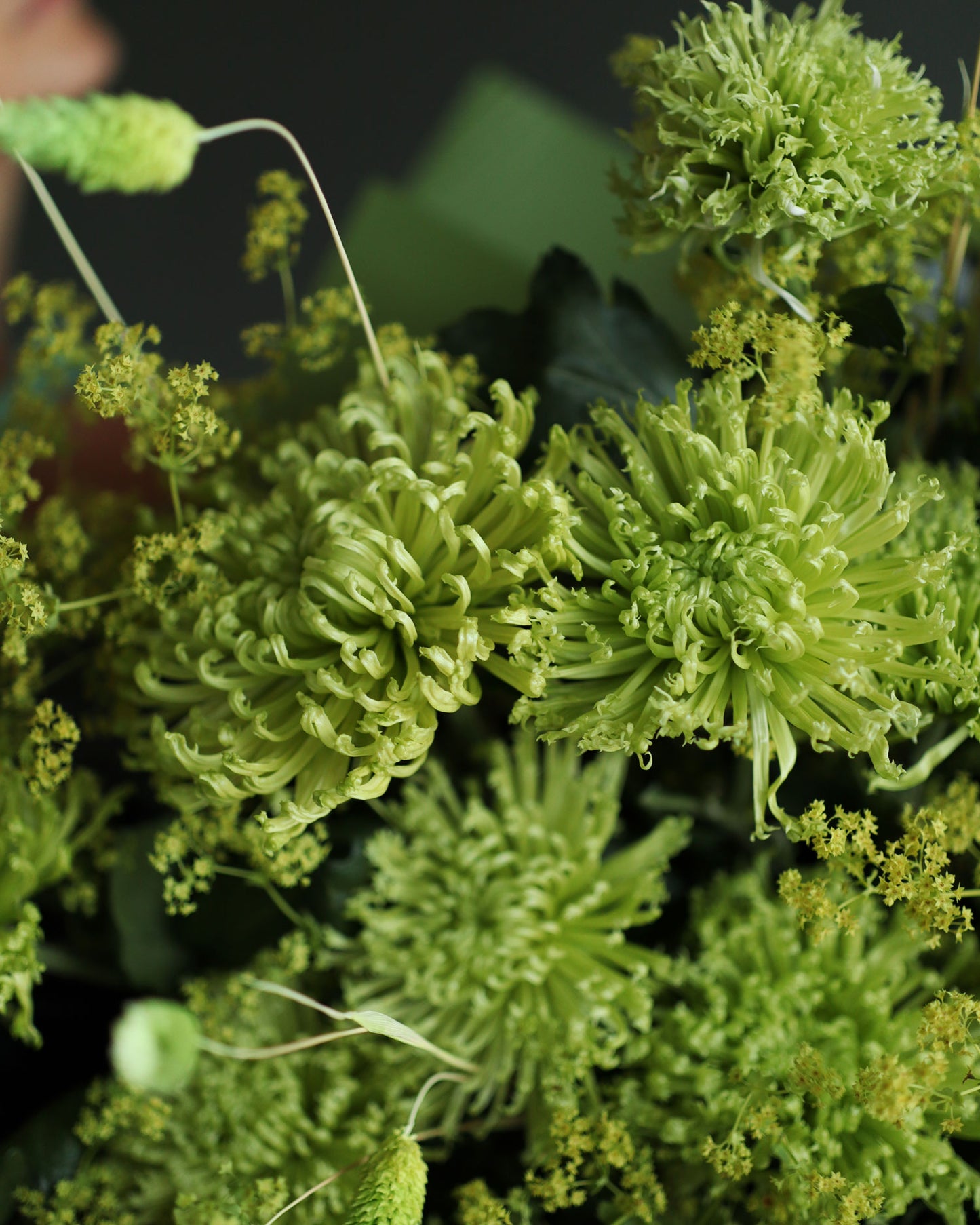 Bouquet "Green power"