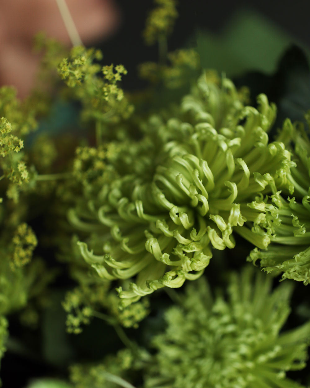 Bouquet "Green power"