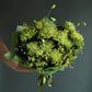 Bouquet "Green power"