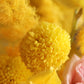Flower Box "Heart of Tuscany"