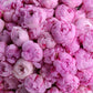 Bouquet "True love"